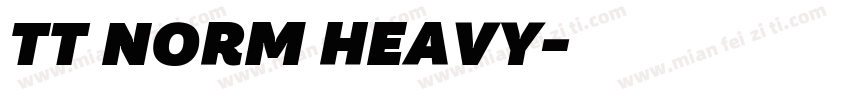 TT NORM HEAVY字体转换